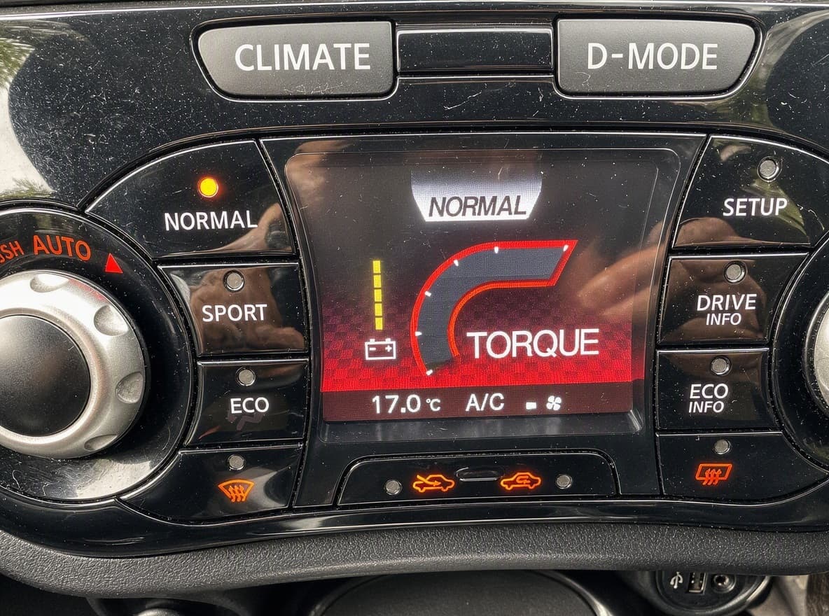 Nissan Juke thumb 23